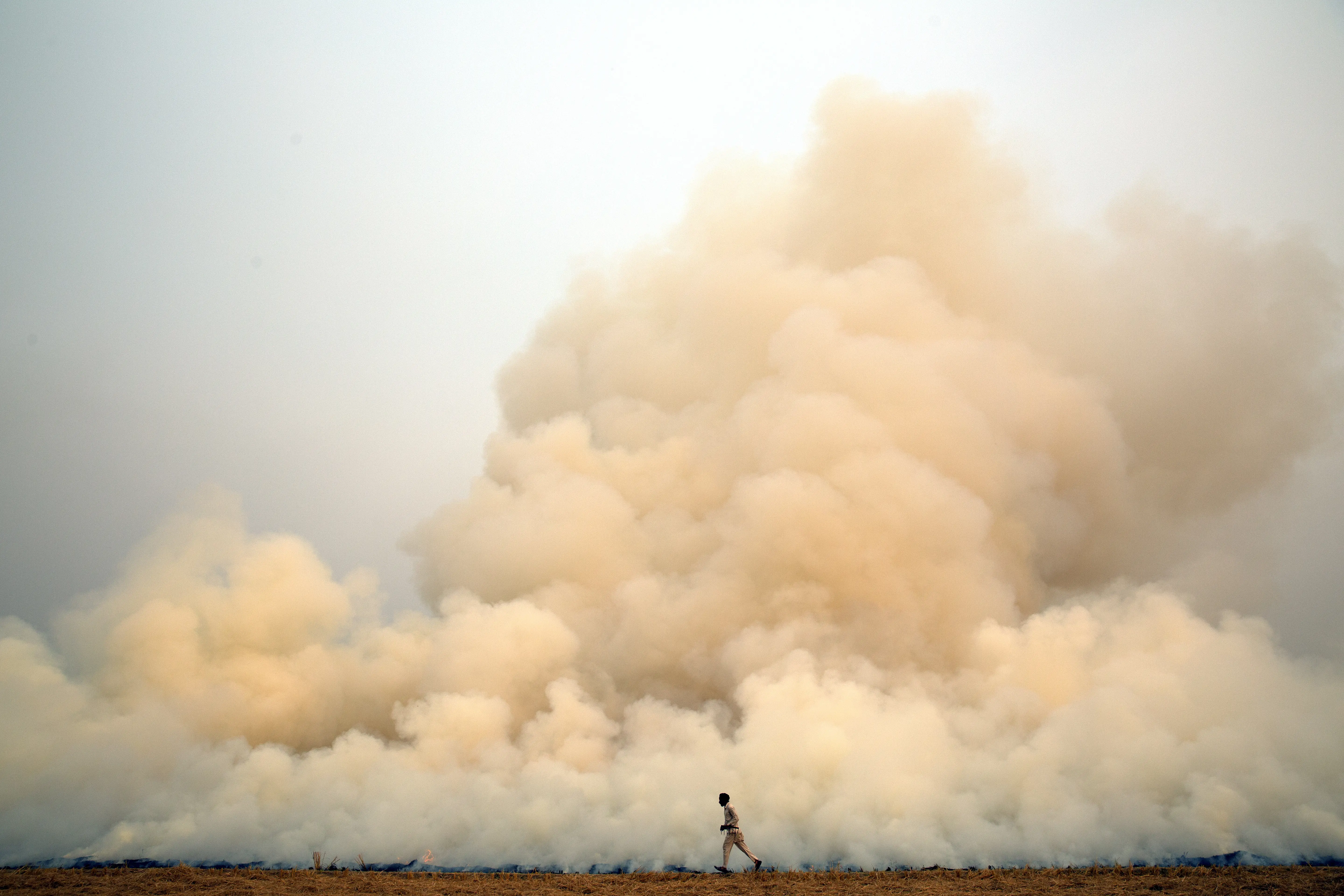 field burning