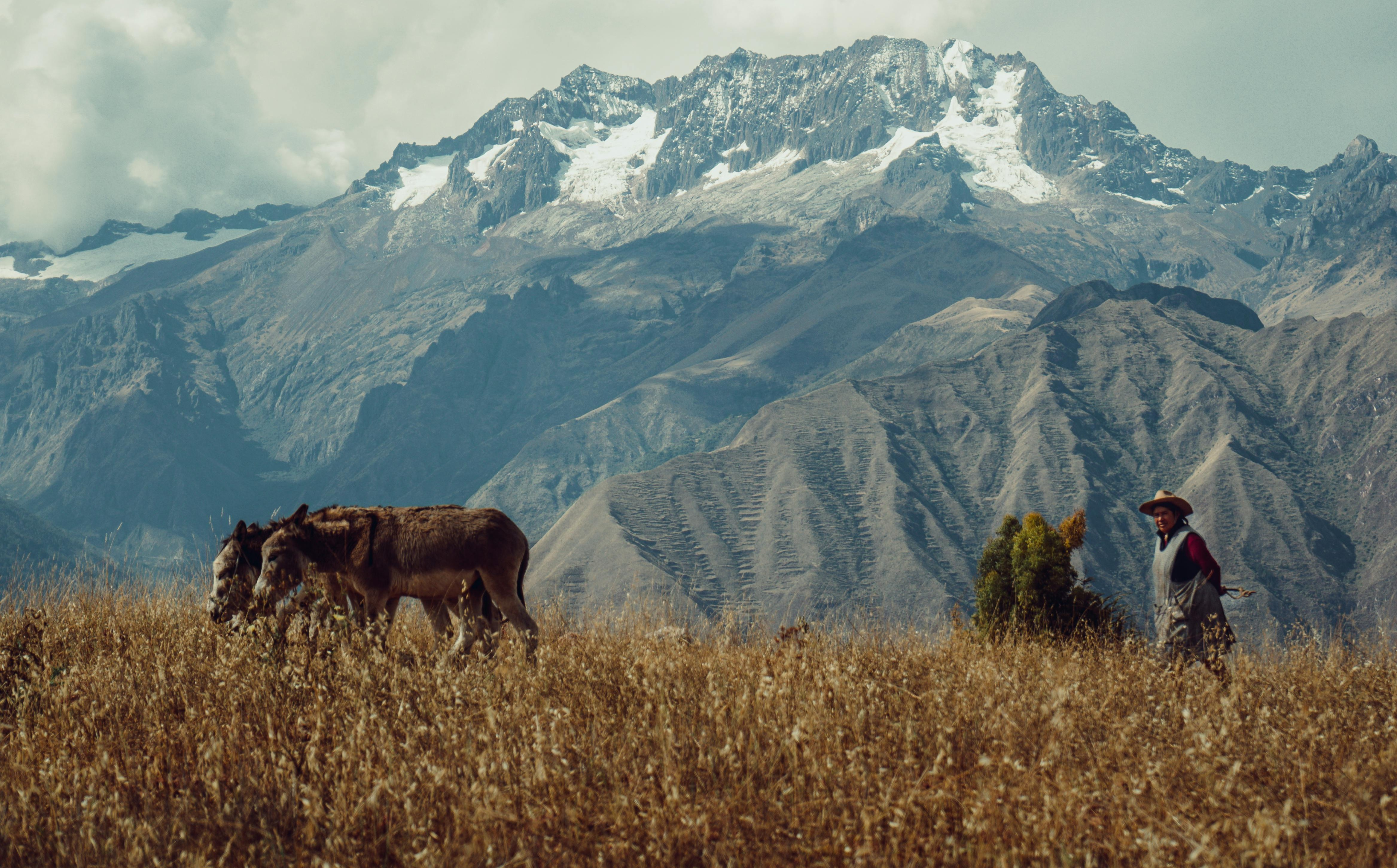 andes