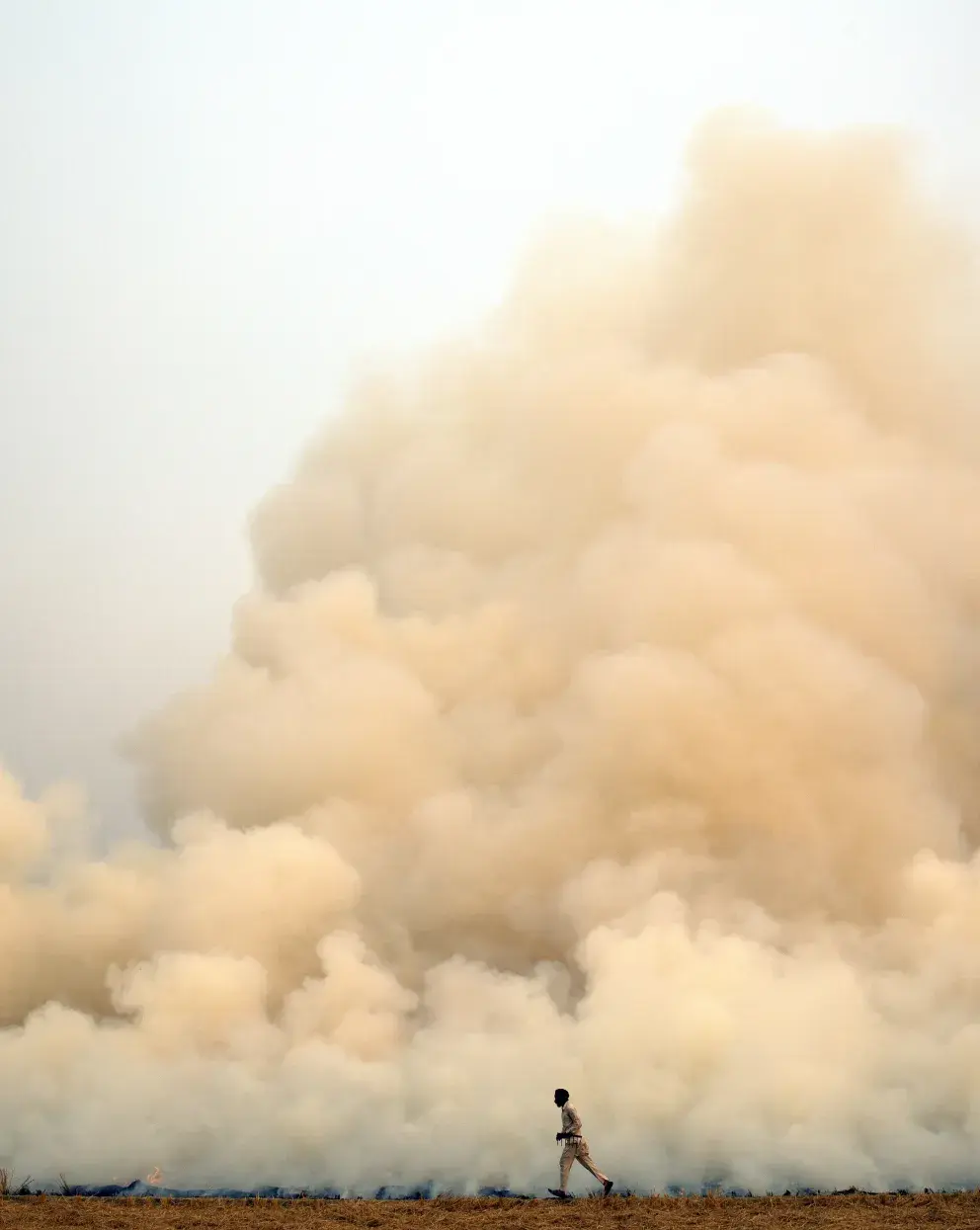 field burning