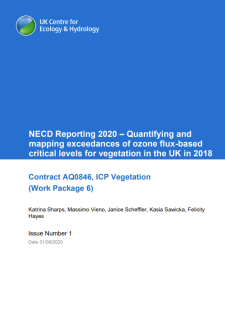 report cover