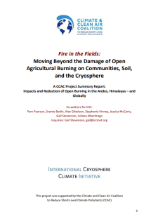 report cover