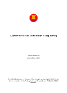 report cover