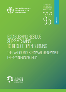 report cover