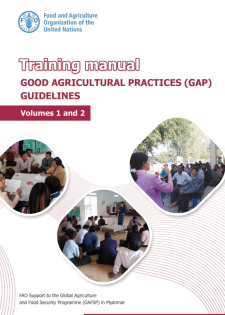 report cover
