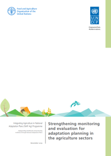 report cover