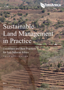 report cover