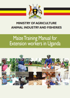 report cover