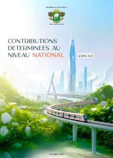 report cover