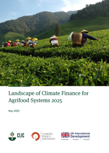 report cover
