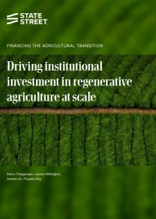 report cover