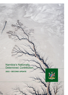 report cover