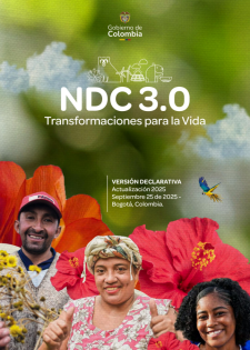 Report cover