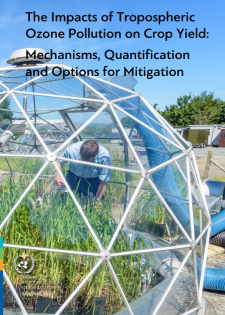 report cover