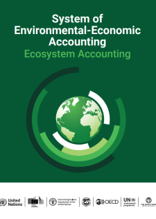 report cover