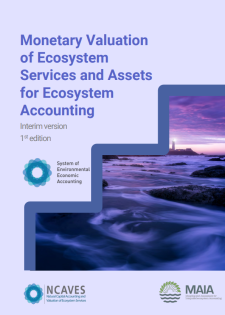 report cover