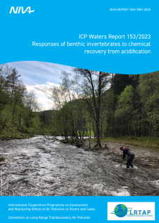 report cover